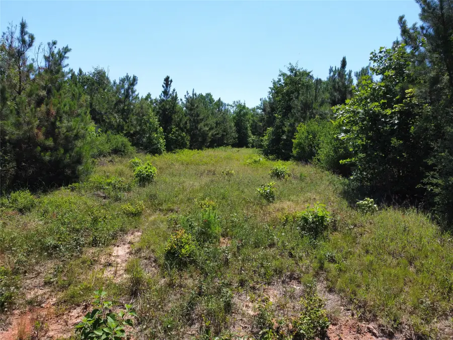 TBD County Road 295, Garrison, TX 75946 - #2