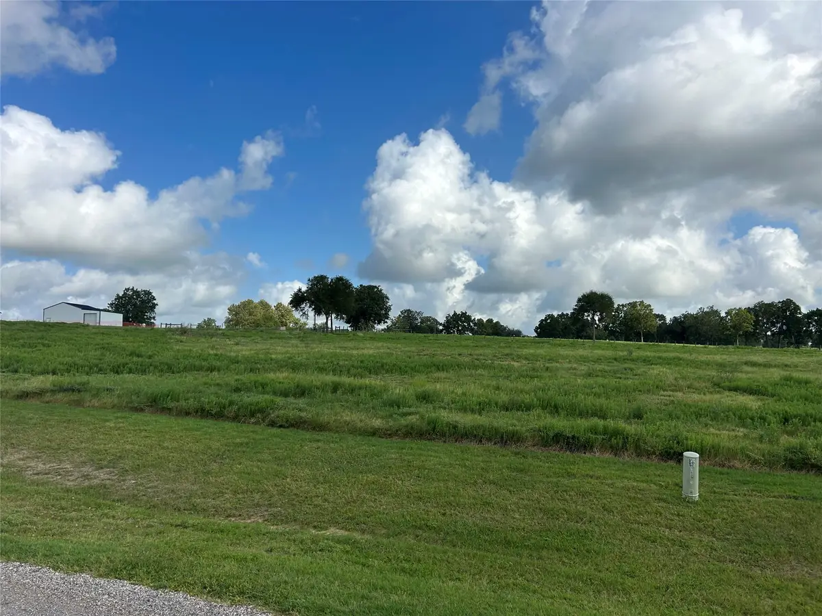 10549 Sunny Meadow Drive, Chappell Hill, TX 77426 - #1