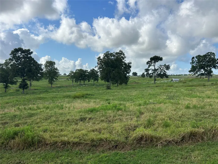 10549 Sunny Meadow Drive, Chappell Hill, TX 77426 - #2