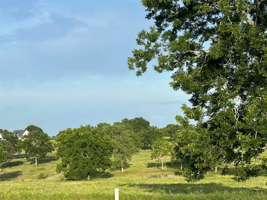 10549 Sunny Meadow Drive, Chappell Hill, TX 77426 - #3