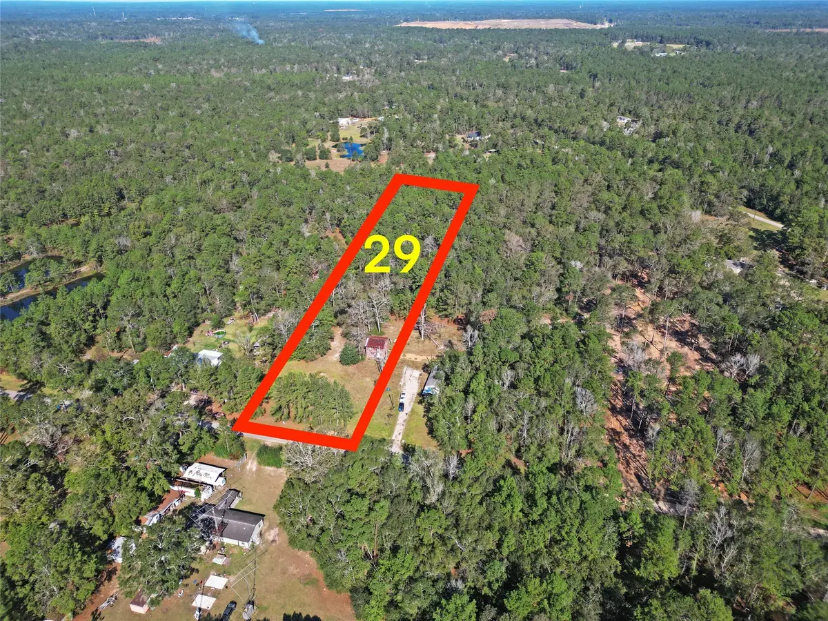 Lot 29 Sims Road, Cleveland, TX 77328-6204 - Image #1