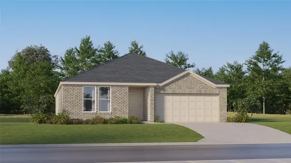 22054 Maddaloni View Drive, Hockley, TX 77447