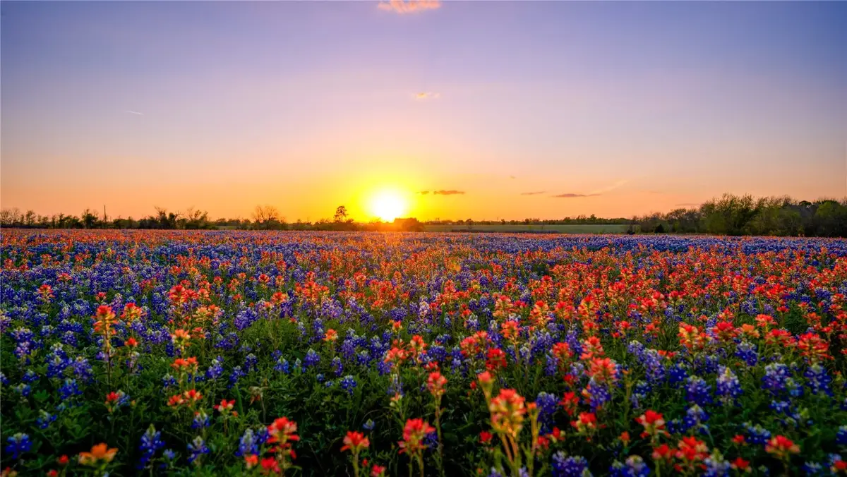 5701 Bovista Road, Navasota, TX 77868 - #1