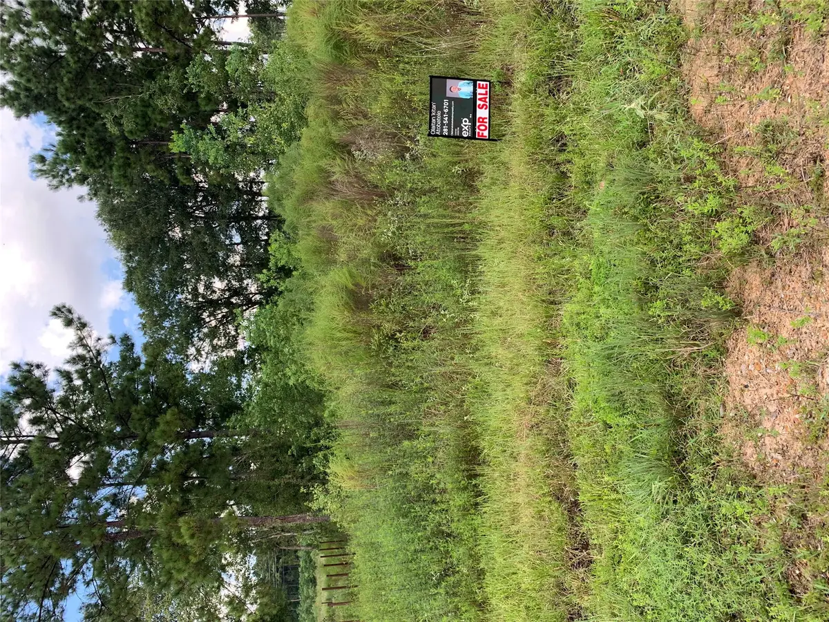 8039 Road 5913, Cleveland, TX 77327 - #1