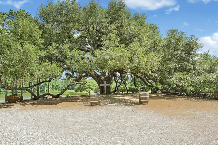 1951 S Pine Lake Road, Montgomery, TX 77316 - #3