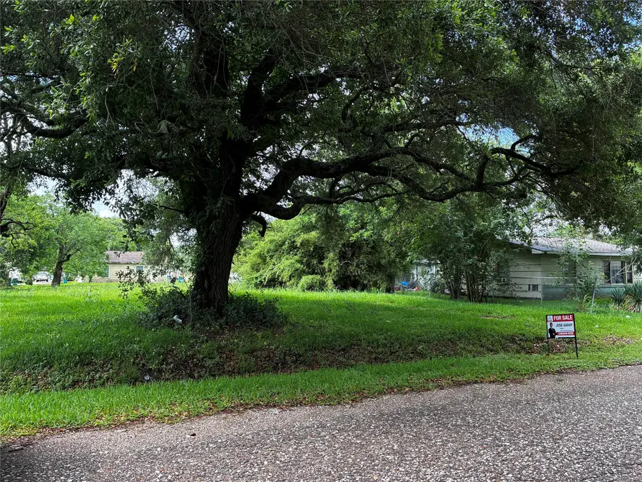 229 Nanlee Street, La Marque, TX 77568 - #2
