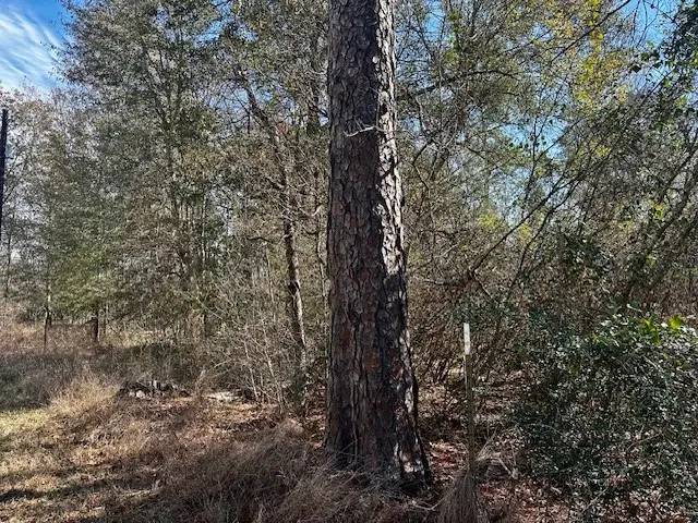 n/a Robinhood Ct / Robinhood Ln, Hockley, TX 77447 - Image #1