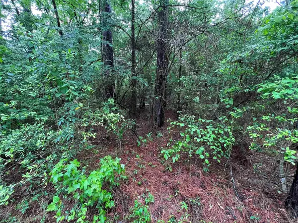 002 Parkside, Brookeland, TX 75931