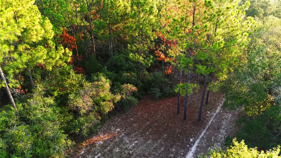 TBD County Road 15, Hallettsville, TX 77964 - Image #2