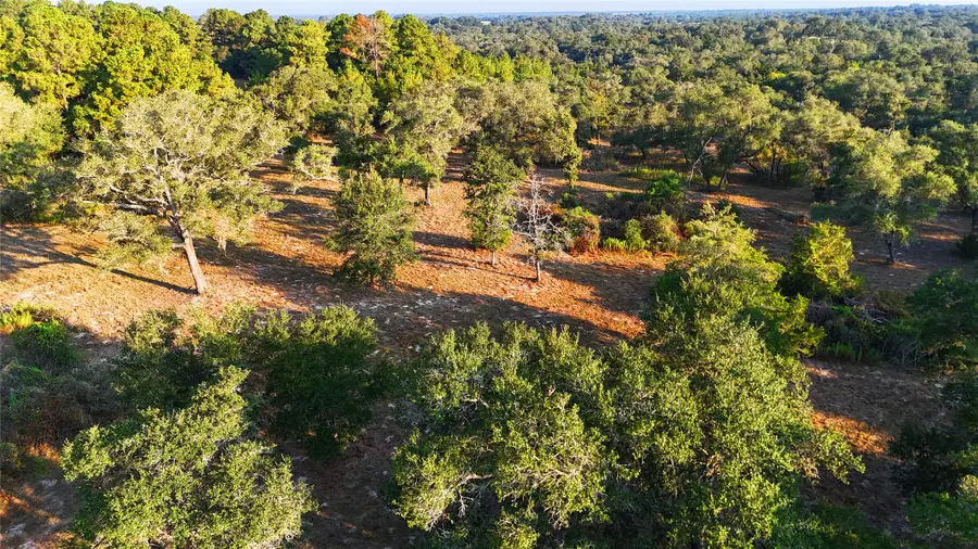 TBD County Road 15, Hallettsville, TX 77964 - Image #3