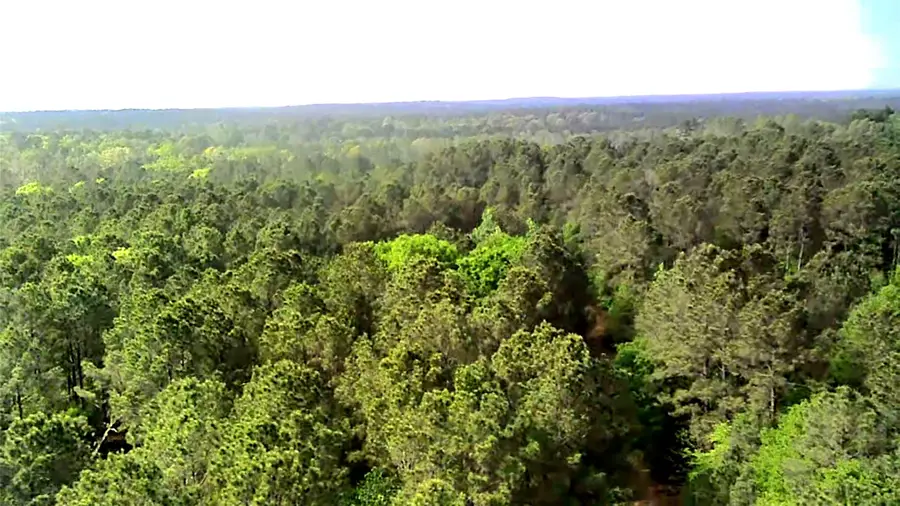 TBDParcel # 130757 Hwy 190, Pointblank, TX 77364 - #2