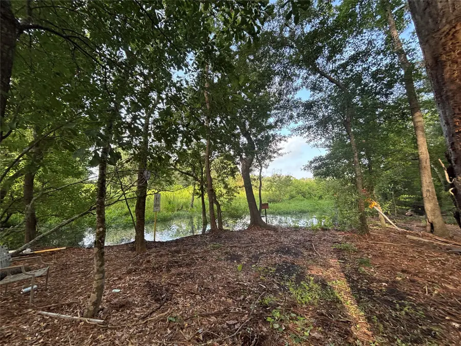 0 Long Drive, Conroe, TX 77302 - #3