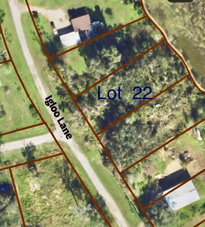 lot 22 Igloo Lane, Holiday Lakes, TX 77515 - #2