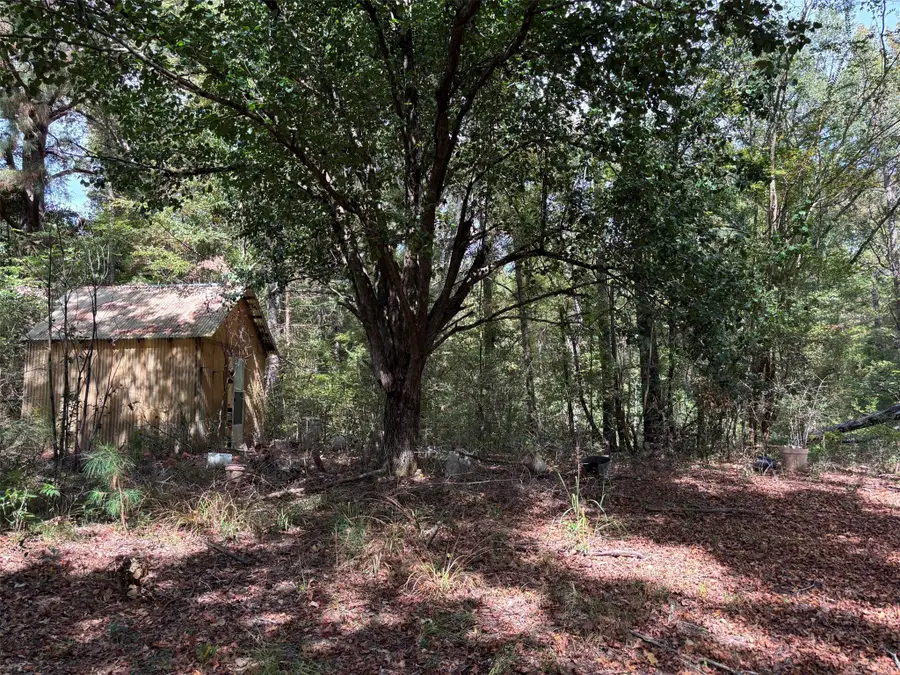 0 An County Road 4775, Palestine, TX 75803 - Image #3