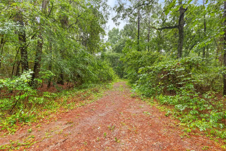 TBD Whispering Pines Lane, Plantersville, TX 77363 - #2