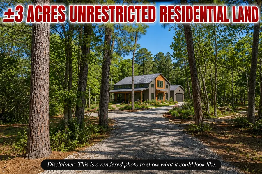 10825 Rose Royal Drive, Conroe, TX 77303 - #3