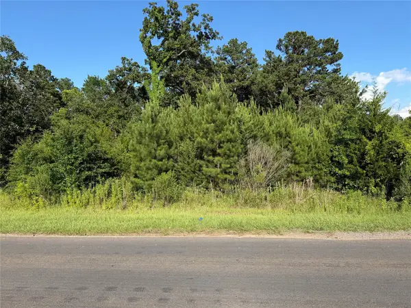 0 N Hendrix Avenue, Diboll, TX 75941