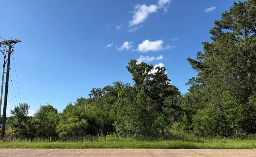 0 N Hendrix Avenue, Diboll, TX 75941 - #3