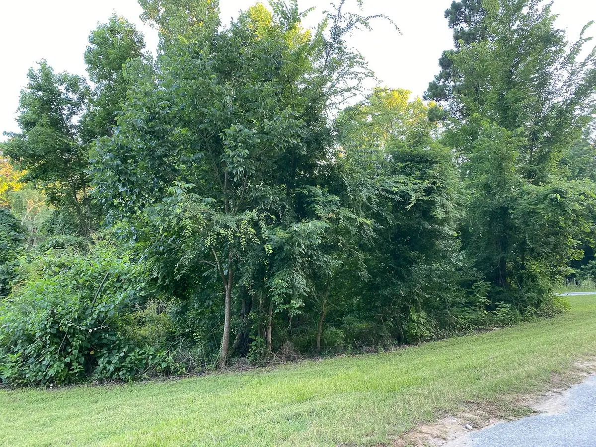 01 White Oak Drive, Point Blank, TX 77364 - #1