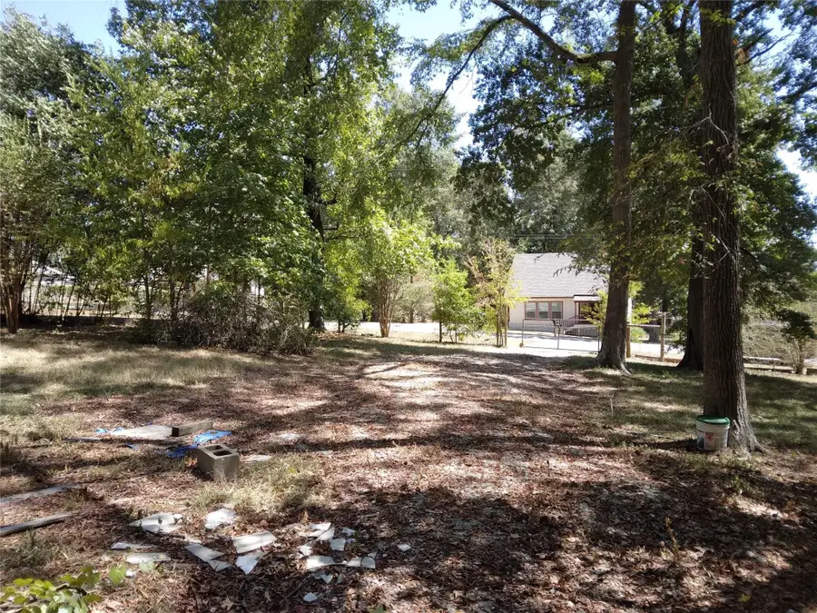12823 Royal Green Drive, Conroe, TX 77303 - #3