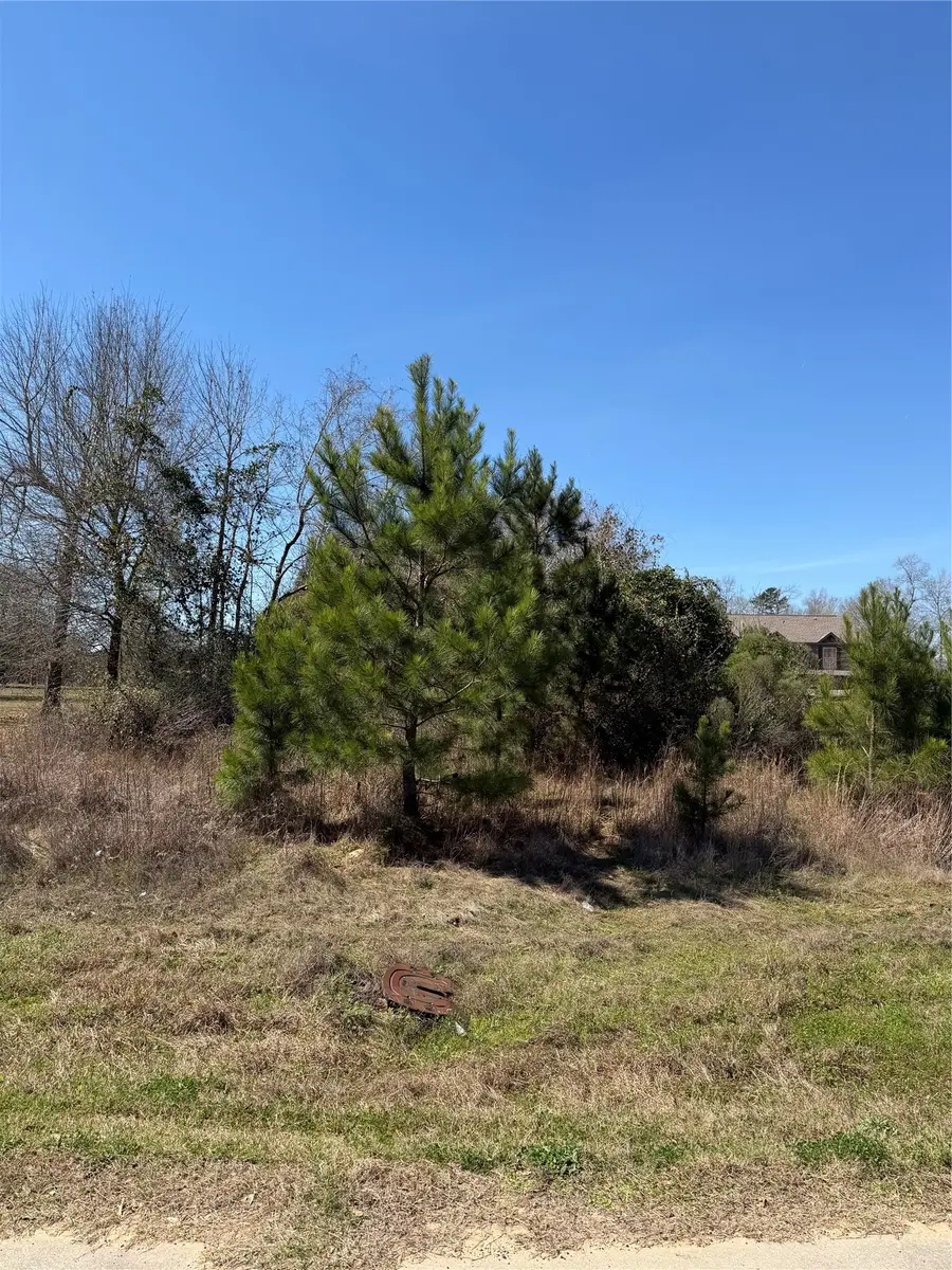 95 County Road 5004, Cleveland, TX 77327 - #2