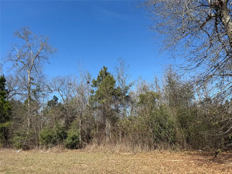 95 County Road 5004, Cleveland, TX 77327 - #3