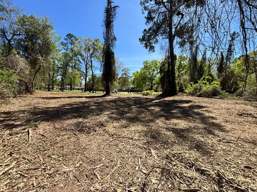 0 Timber Lakes Drive, Spring, TX 77380 - #3