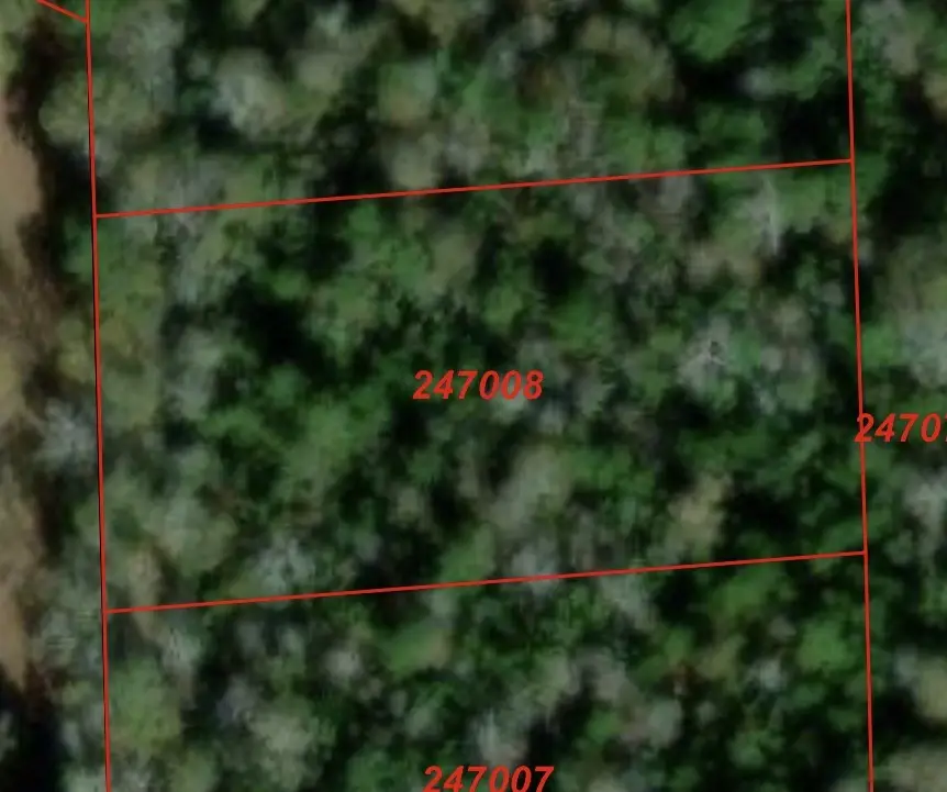 TBD Ellwood Dr, Livingston, TX 77351 - #2