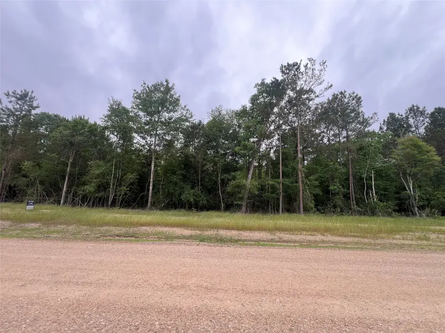 TBD Ellwood Dr, Livingston, TX 77351 - #3