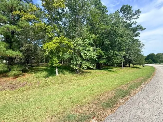 TBD0 Kings Point Drive, Coldspring, TX 77331 - #1