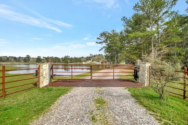 28335 Riley Road, Waller, TX 77484