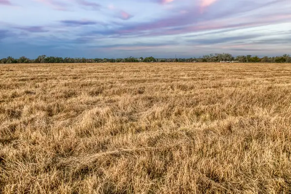 10444 County Road 318, Caldwell, TX 77836