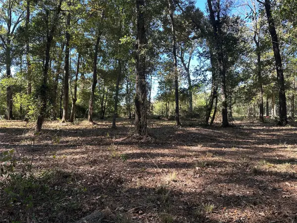 27316 Frye Road, Splendora, TX 77372