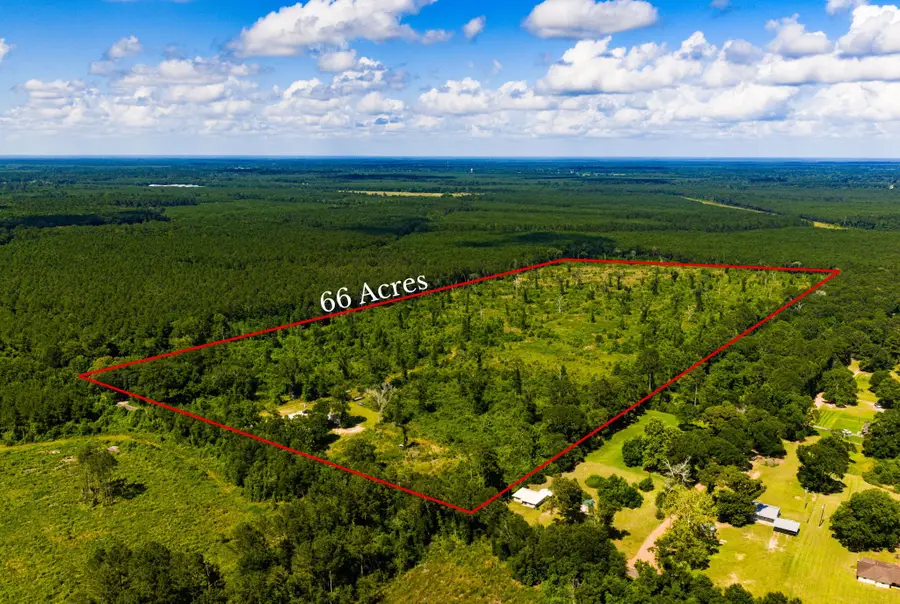 1947 County Road 2243, Cleveland, TX 77327 - #3