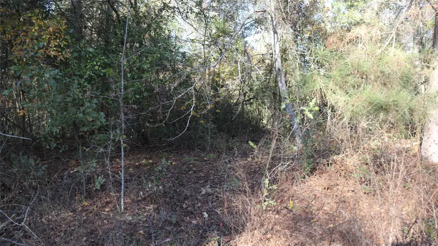 0 Pin Tail Drive, Coldspring, TX 77331 - #3