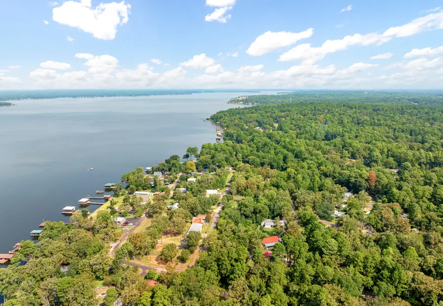 16964 Pine Trail Drive, Flint, TX 75762 - Image #3