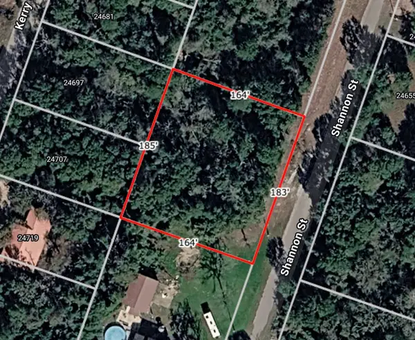 Lot 35 Shannon Street, Hempstead, TX 77445