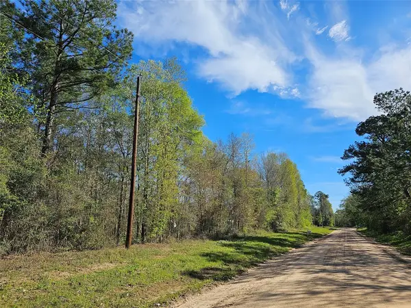 0 Magnolia Woods Drive, Livingston, TX 77351