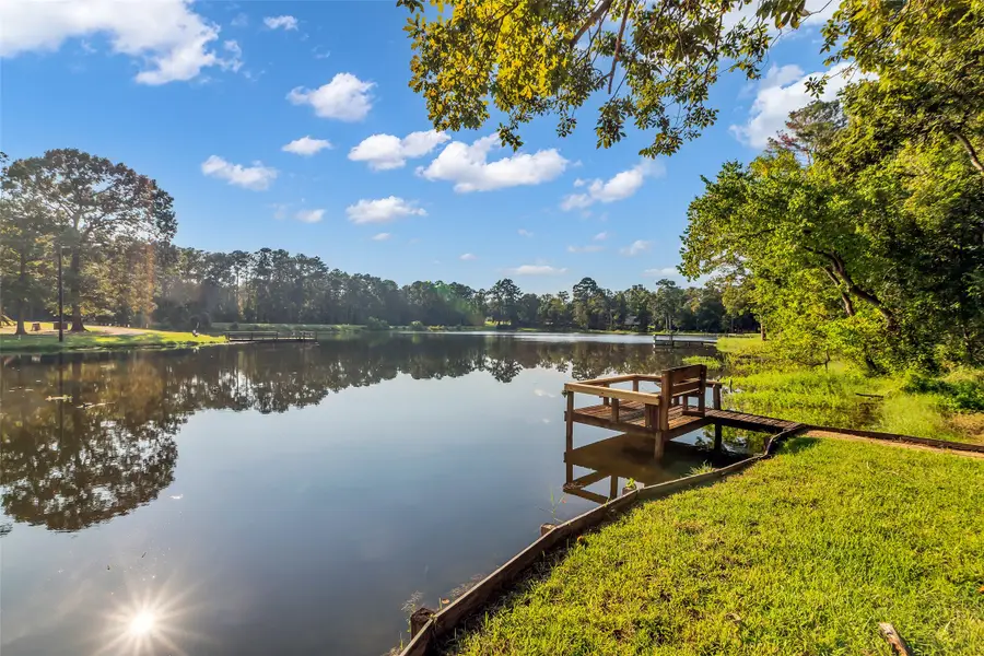 119 Memory Lane, Livingston, TX 77351 - #3