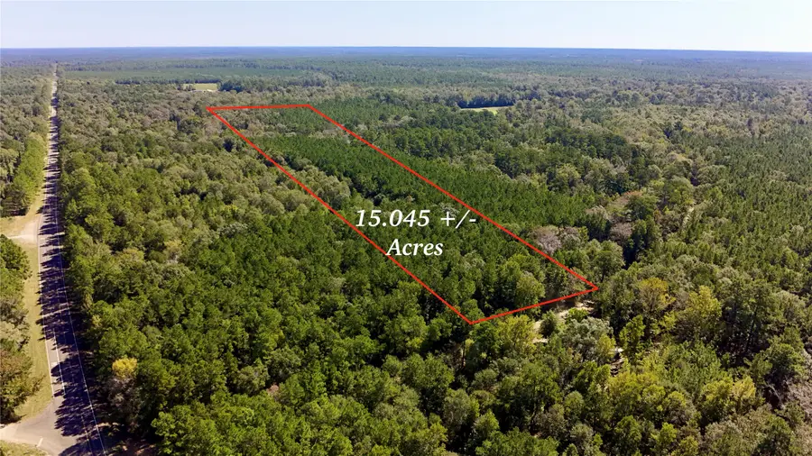 TBD County Road 1058, Wiergate, TX 75977 - #2
