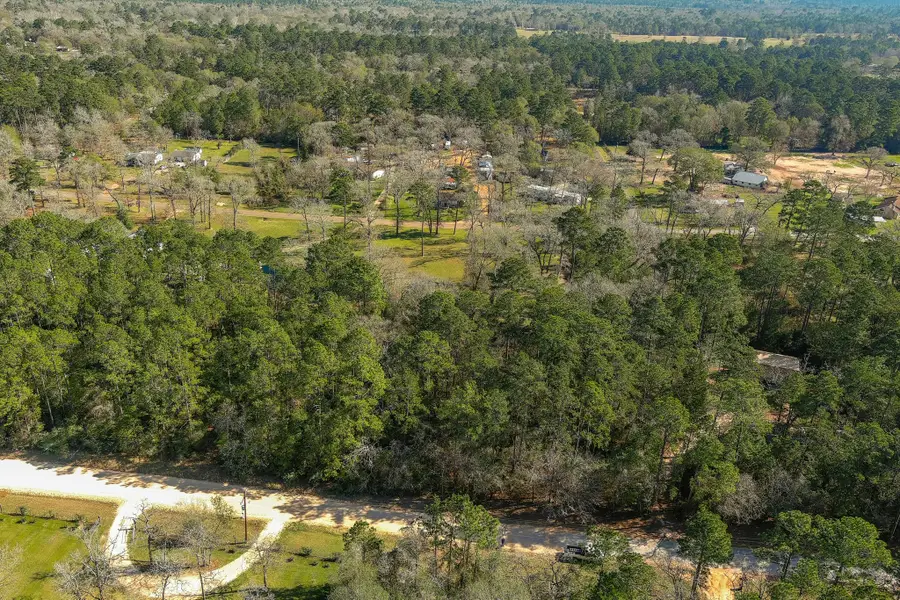 13167 Mill Creek Drive N, Plantersville, TX 77363 - Image #2