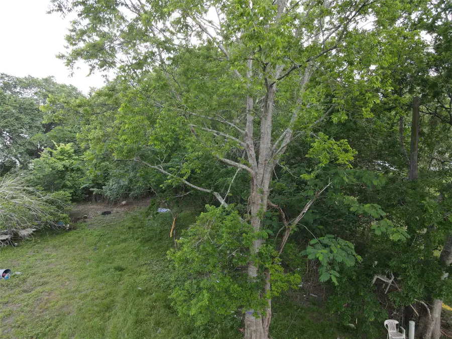 24922 Wilson Street, Tomball, TX 77375 - #3
