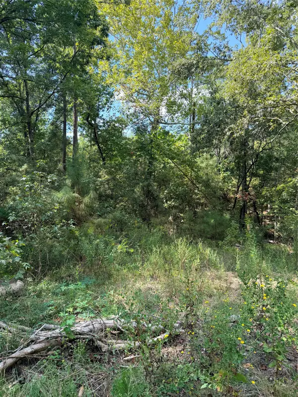 TBD Honeysuckle, Lot 10, Livingston, TX 77351