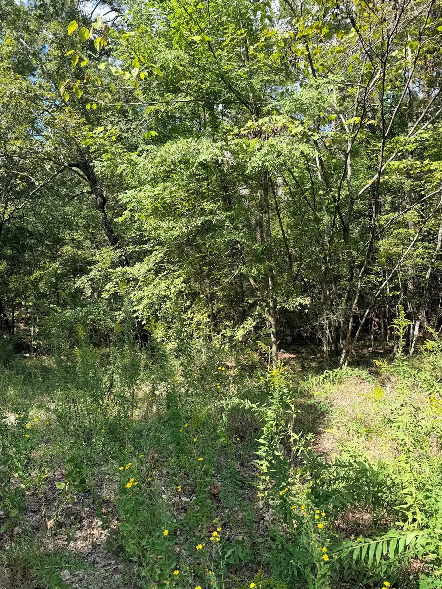 TBD Honeysuckle, Lot 10, Livingston, TX 77351 - #2