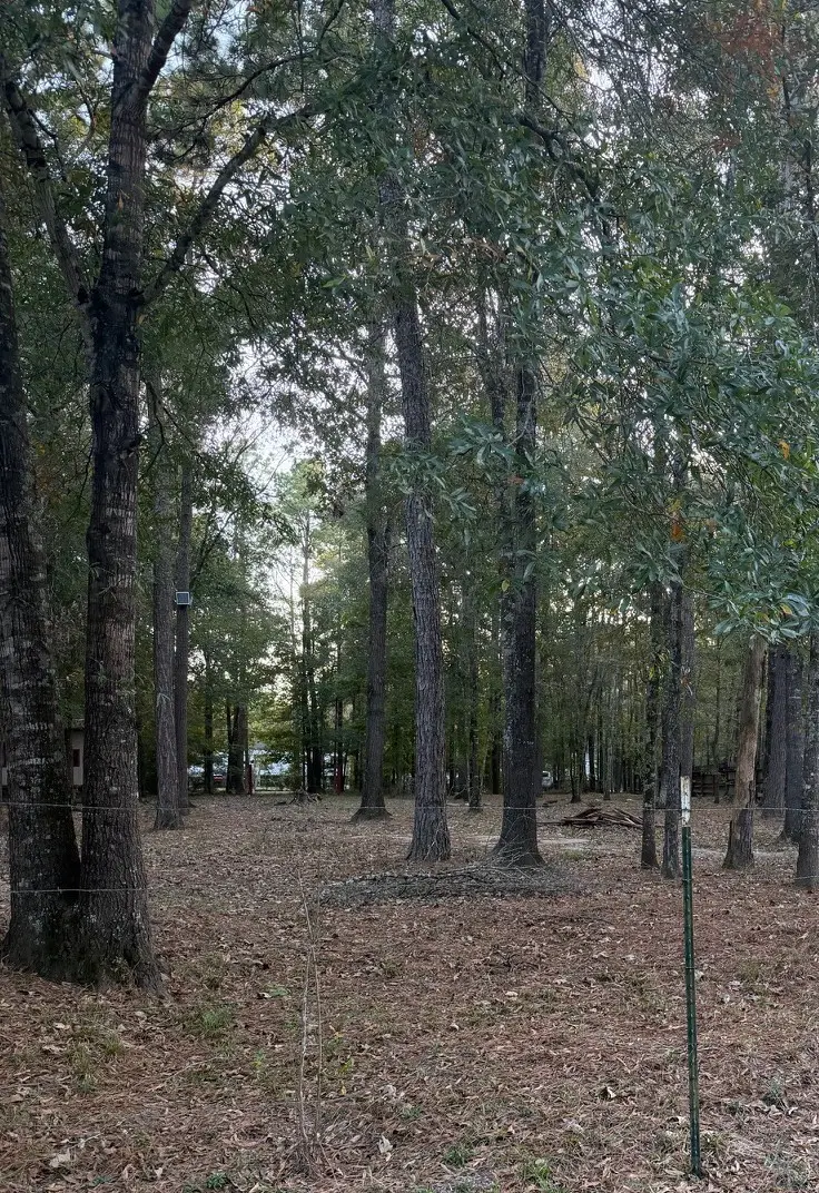 19228 Kettering Circle, New Caney, TX 77357 - Image #2