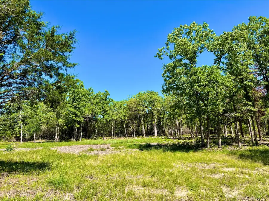 357 Oak Hollow, Caldwell, TX 77836 - Image #3