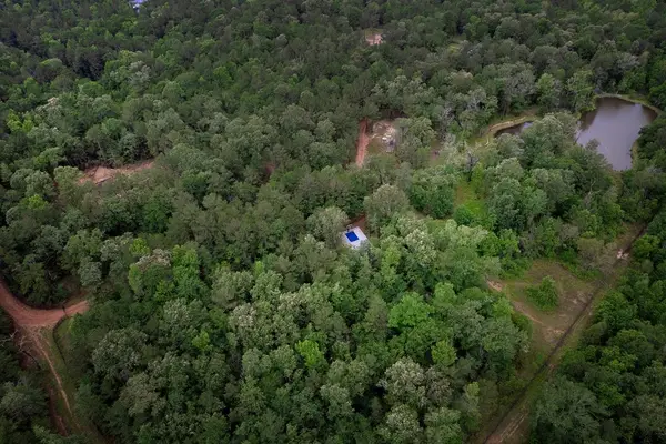 TBD Saratoga Woods Drive, Montgomery, TX 77316