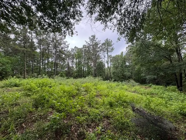 268 Cedar Valley Road, Coldspring, TX 77331