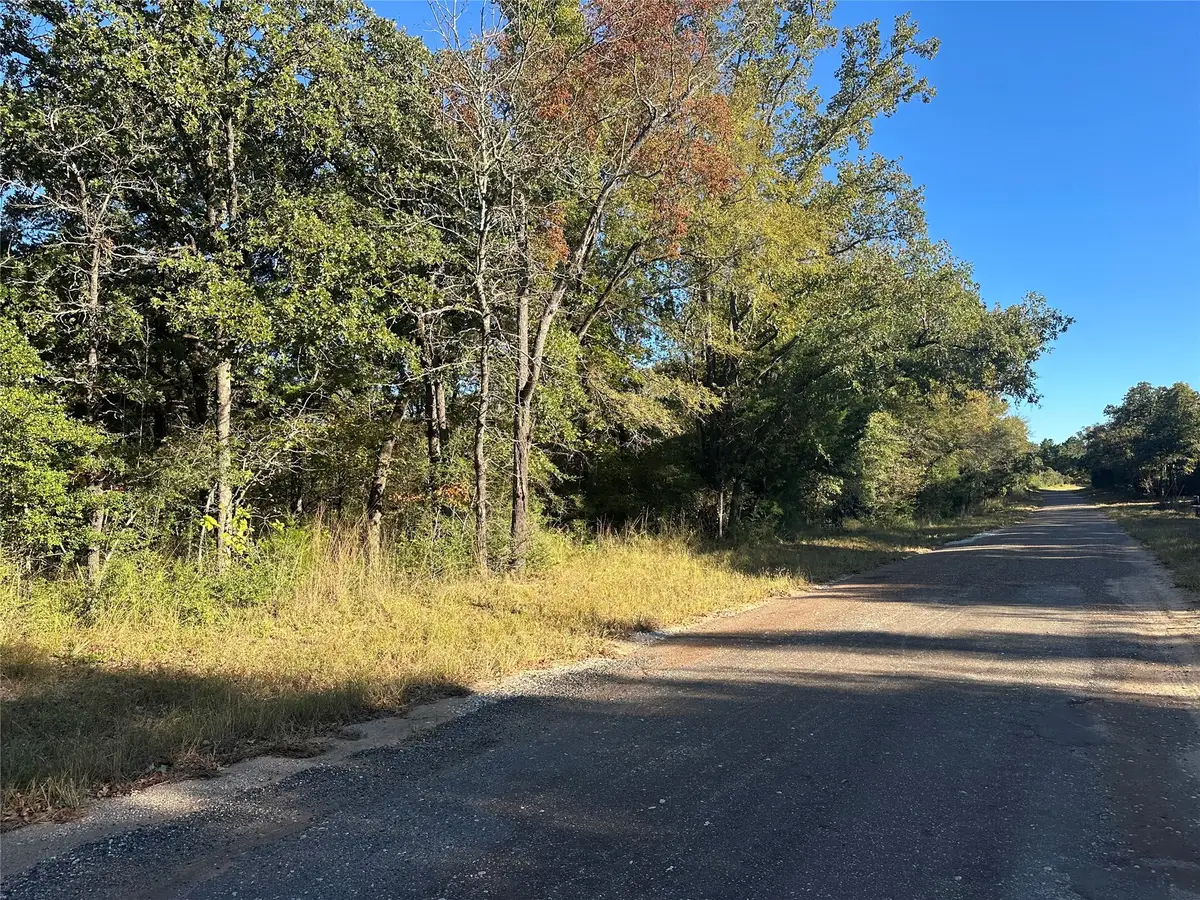 TR 4 Cr 219, Buffalo, TX 75831 - Image #1