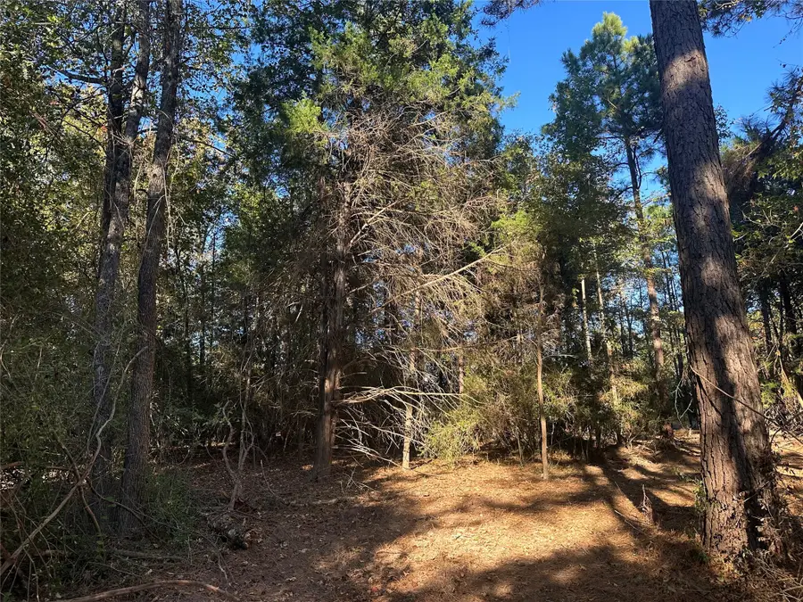 TR 3 Cr219, Buffalo, TX 75831 - Image #2